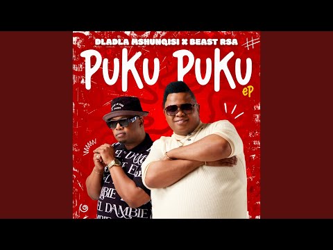 Dladla Mshunqisi – Puku Puku